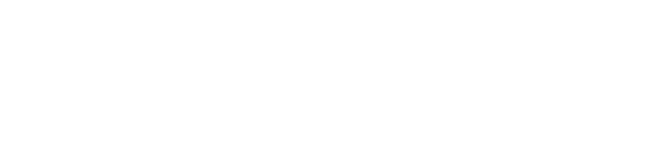 SynergyOps Logo